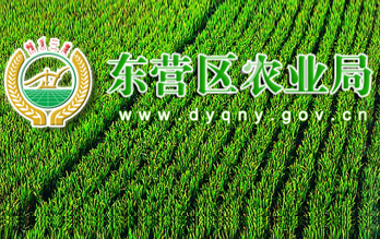 東營(yíng)區(qū)農(nóng)業(yè)局